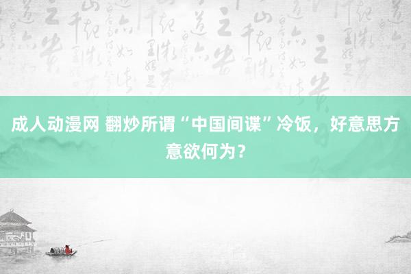 成人动漫网 翻炒所谓“中国间谍”冷饭，好意思方意欲何为？