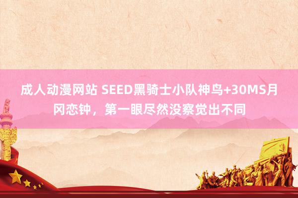 成人动漫网站 SEED黑骑士小队神鸟+30MS月冈恋钟，第一眼尽然没察觉出不同