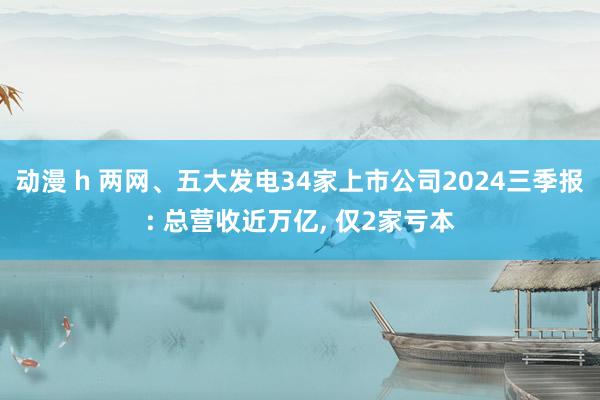 动漫 h 两网、五大发电34家上市公司2024三季报: 总营收近万亿， 仅2家亏本