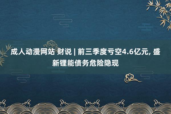 成人动漫网站 财说 | 前三季度亏空4.6亿元， 盛新锂能债务危险隐现