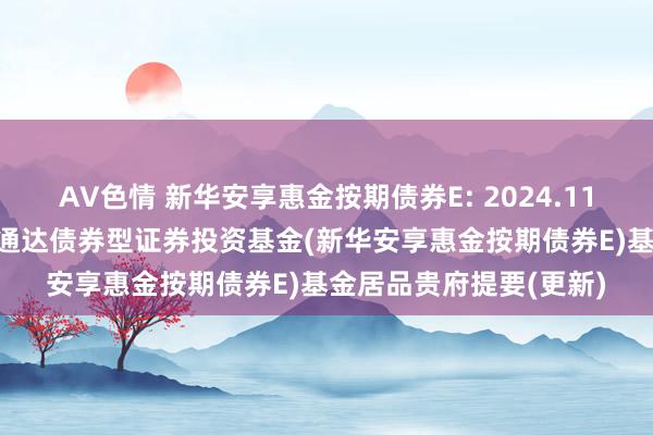 AV色情 新华安享惠金按期债券E: 2024.11.01新华安享惠金按期通达债券型证券投资基金(新华安享惠金按期债券E)基金居品贵府提要(更新)