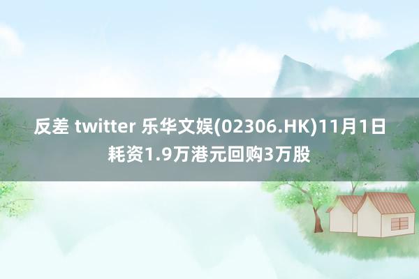 反差 twitter 乐华文娱(02306.HK)11月1日耗资1.9万港元回购3万股