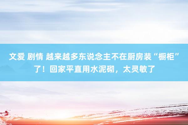 文爱 剧情 越来越多东说念主不在厨房装“橱柜”了！回家平直用水泥砌，太灵敏了