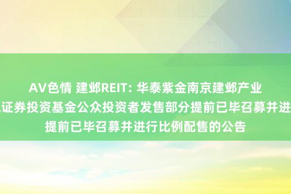 AV色情 建邺REIT: 华泰紫金南京建邺产业园封锁式基础面貌证券投资基金公众投资者发售部分提前已毕召募并进行比例配售的公告