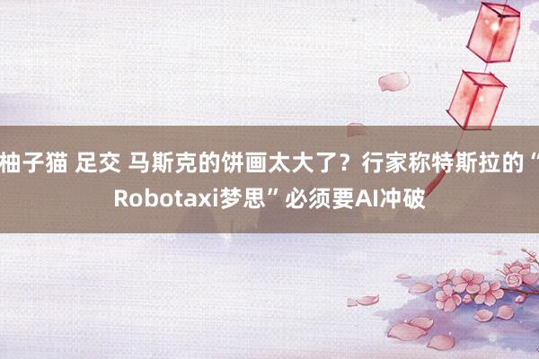 柚子猫 足交 马斯克的饼画太大了？行家称特斯拉的“Robotaxi梦思”必须要AI冲破