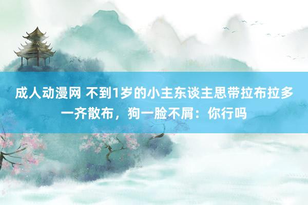 成人动漫网 不到1岁的小主东谈主思带拉布拉多一齐散布，狗一脸不屑：你行吗