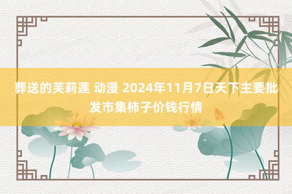 葬送的芙莉莲 动漫 2024年11月7日天下主要批发市集柿子价钱行情