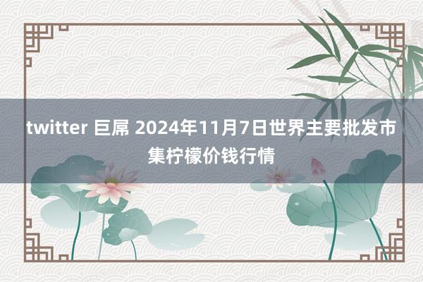 twitter 巨屌 2024年11月7日世界主要批发市集柠檬价钱行情