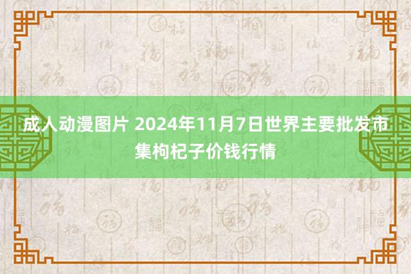 成人动漫图片 2024年11月7日世界主要批发市集枸杞子价钱行情