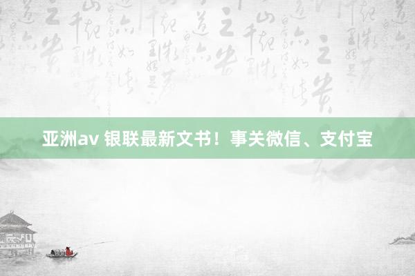 亚洲av 银联最新文书！事关微信、支付宝