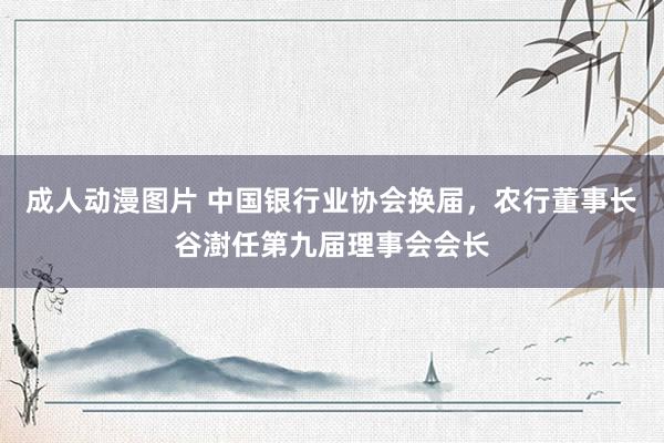 成人动漫图片 中国银行业协会换届，农行董事长谷澍任第九届理事会会长