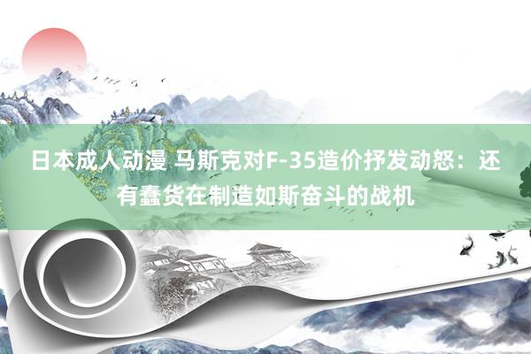 日本成人动漫 马斯克对F-35造价抒发动怒：还有蠢货在制造如斯奋斗的战机