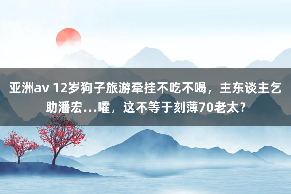 亚洲av 12岁狗子旅游牵挂不吃不喝，主东谈主乞助潘宏…嚯，这不等于刻薄70老太？