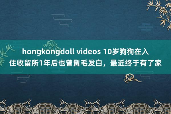 hongkongdoll videos 10岁狗狗在入住收留所1年后也曾髯毛发白，最近终于有了家