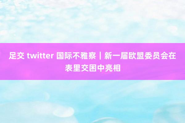 足交 twitter 国际不雅察｜新一届欧盟委员会在表里交困中亮相