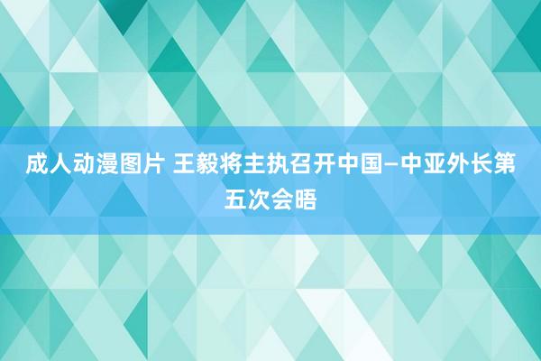 成人动漫图片 王毅将主执召开中国—中亚外长第五次会晤