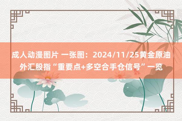 成人动漫图片 一张图：2024/11/25黄金原油外汇股指“重要点+多空合手仓信号”一览