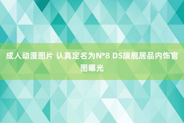 成人动漫图片 认真定名为N°8 DS旗舰居品内饰官图曝光