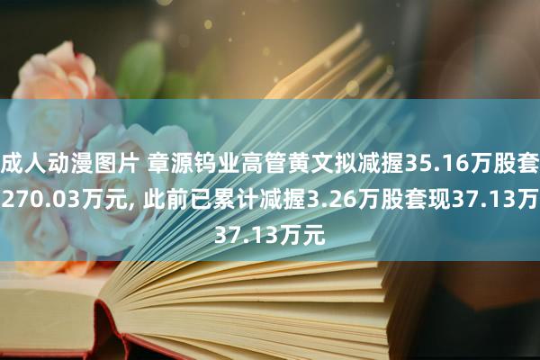 成人动漫图片 章源钨业高管黄文拟减握35.16万股套现270.03万元, 此前已累计减握3.26万股套现37.13万元