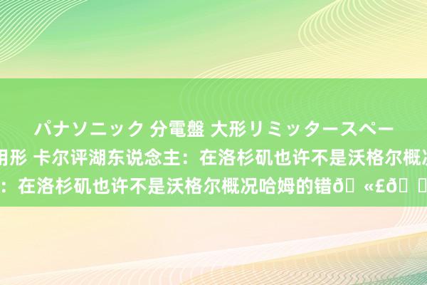 パナソニック 分電盤 大形リミッタースペースなし 露出・半埋込両用形 卡尔评湖东说念主：在洛杉矶也许不是沃格尔概况哈姆的错🫣😆