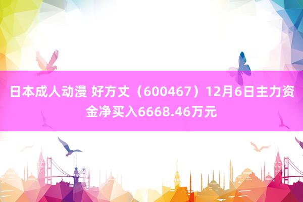 日本成人动漫 好方丈（600467）12月6日主力资金净买入6668.46万元