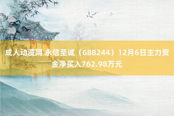 成人动漫网 永信至诚（688244）12月6日主力资金净买入762.98万元