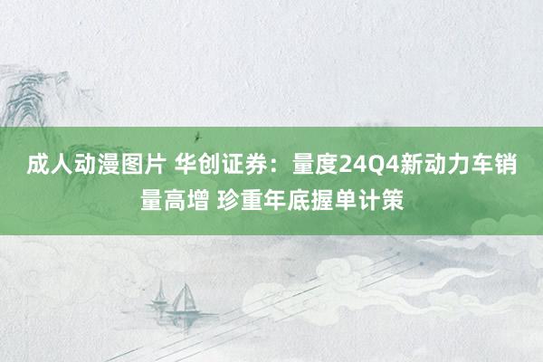 成人动漫图片 华创证券：量度24Q4新动力车销量高增 珍重年底握单计策