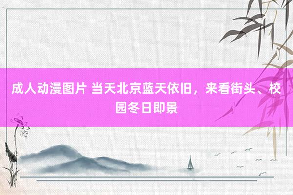 成人动漫图片 当天北京蓝天依旧，来看街头、校园冬日即景