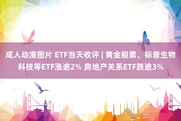 成人动漫图片 ETF当天收评 | 黄金股票、标普生物科技等ETF涨逾2% 房地产关系ETF跌逾3%