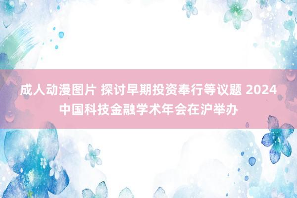 成人动漫图片 探讨早期投资奉行等议题 2024中国科技金融学术年会在沪举办