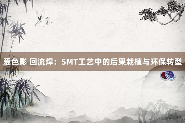 爱色影 回流焊：SMT工艺中的后果栽植与环保转型