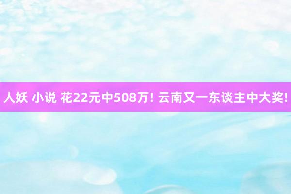 人妖 小说 花22元中508万! 云南又一东谈主中大奖!