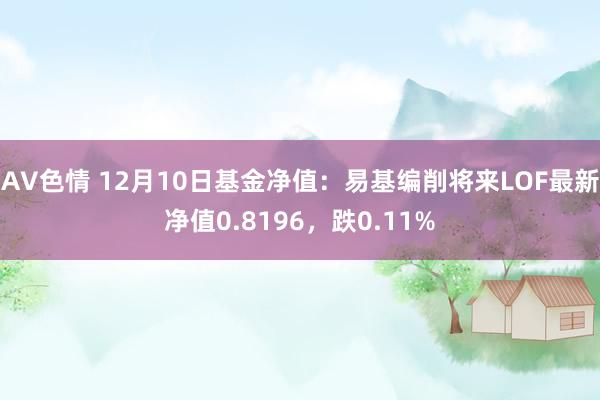 AV色情 12月10日基金净值：易基编削将来LOF最新净值0.8196，跌0.11%