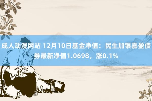 成人动漫网站 12月10日基金净值：民生加银嘉盈债券最新净值1.0698，涨0.1%