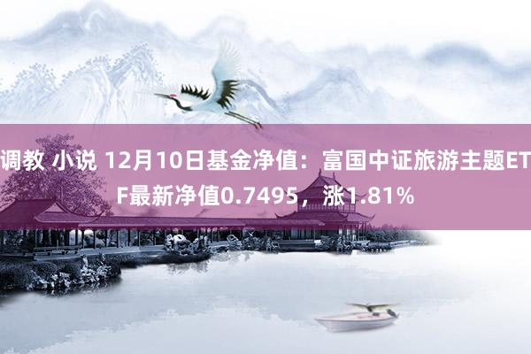 调教 小说 12月10日基金净值：富国中证旅游主题ETF最新净值0.7495，涨1.81%