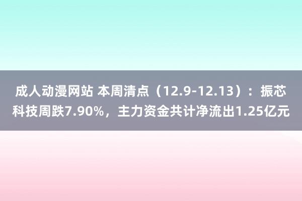 成人动漫网站 本周清点（12.9-12.13）：振芯科技周跌7.90%，主力资金共计净流出1.25亿元