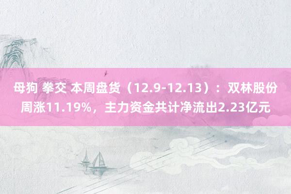 母狗 拳交 本周盘货（12.9-12.13）：双林股份周涨11.19%，主力资金共计净流出2.23亿元