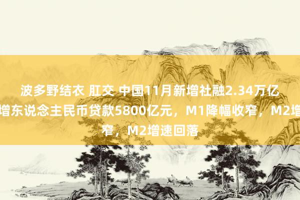 波多野结衣 肛交 中国11月新增社融2.34万亿元，新增东说念主民币贷款5800亿元，M1降幅收窄，M2增速回落