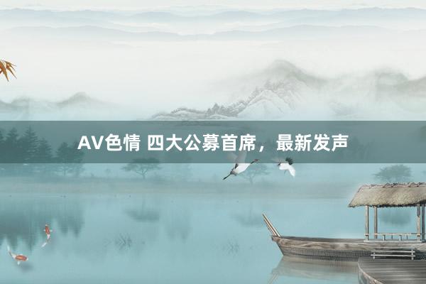 AV色情 四大公募首席，最新发声