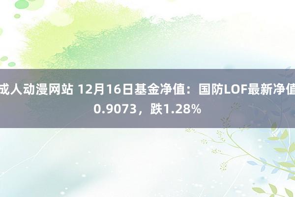 成人动漫网站 12月16日基金净值：国防LOF最新净值0.9073，跌1.28%