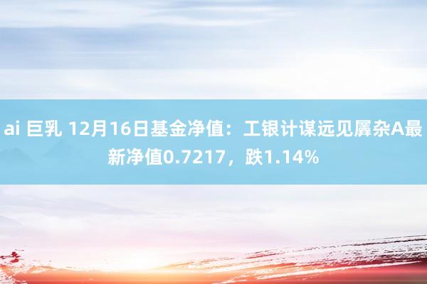 ai 巨乳 12月16日基金净值：工银计谋远见羼杂A最新净值0.7217，跌1.14%