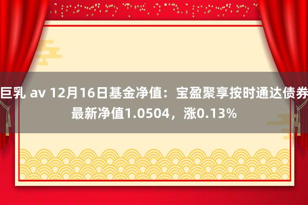 巨乳 av 12月16日基金净值：宝盈聚享按时通达债券最新净值1.0504，涨0.13%