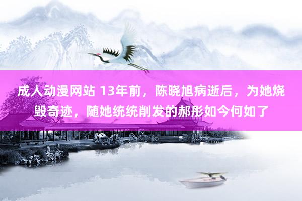 成人动漫网站 13年前，陈晓旭病逝后，为她烧毁奇迹，随她统统削发的郝彤如今何如了