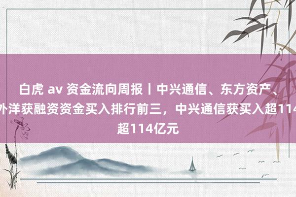 白虎 av 资金流向周报丨中兴通信、东方资产、中芯外洋获融资资金买入排行前三，中兴通信获买入超114亿元