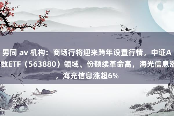 男同 av 机构：商场行将迎来跨年设置行情，中证A500指数ETF（563880）领域、份额续革命高，海光信息涨超6%