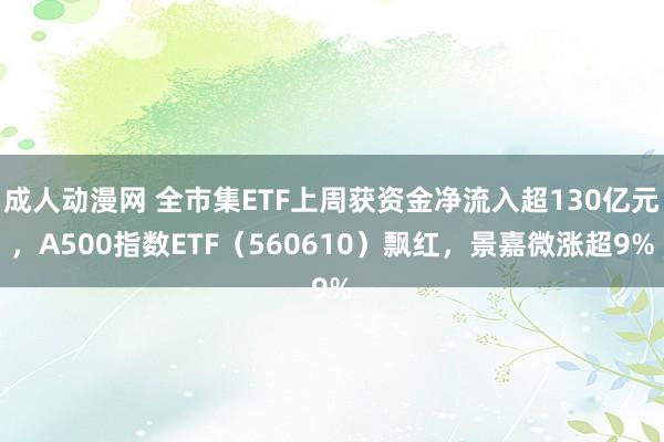 成人动漫网 全市集ETF上周获资金净流入超130亿元，A500指数ETF（560610）飘红，景嘉微涨超9%