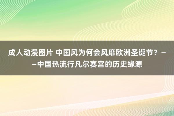 成人动漫图片 中国风为何会风靡欧洲圣诞节？——中国热流行凡尔赛宫的历史缘源