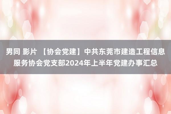 男同 影片 【协会党建】中共东莞市建造工程信息服务协会党支部2024年上半年党建办事汇总