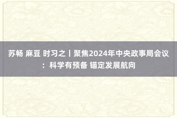 苏畅 麻豆 时习之丨聚焦2024年中央政事局会议：科学有预备 锚定发展航向