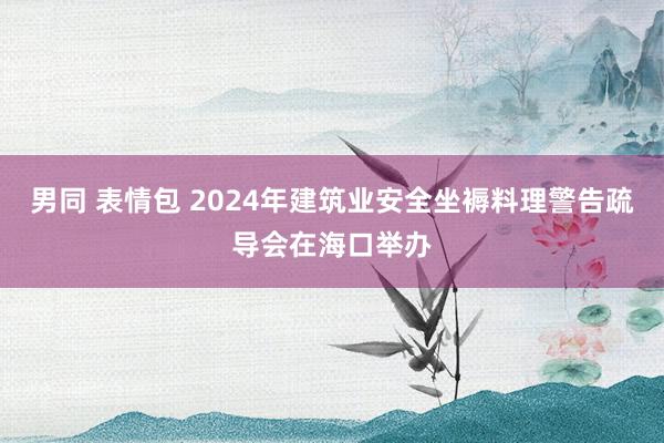 男同 表情包 2024年建筑业安全坐褥料理警告疏导会在海口举办